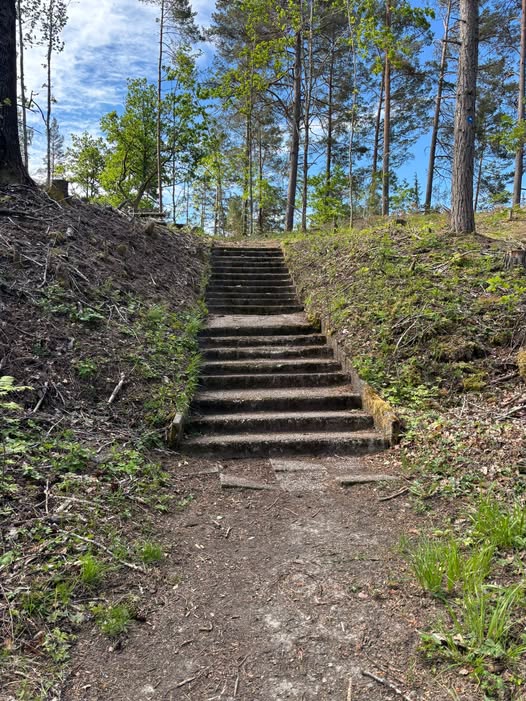 Ingen fotobeskrivning tillgänglig.